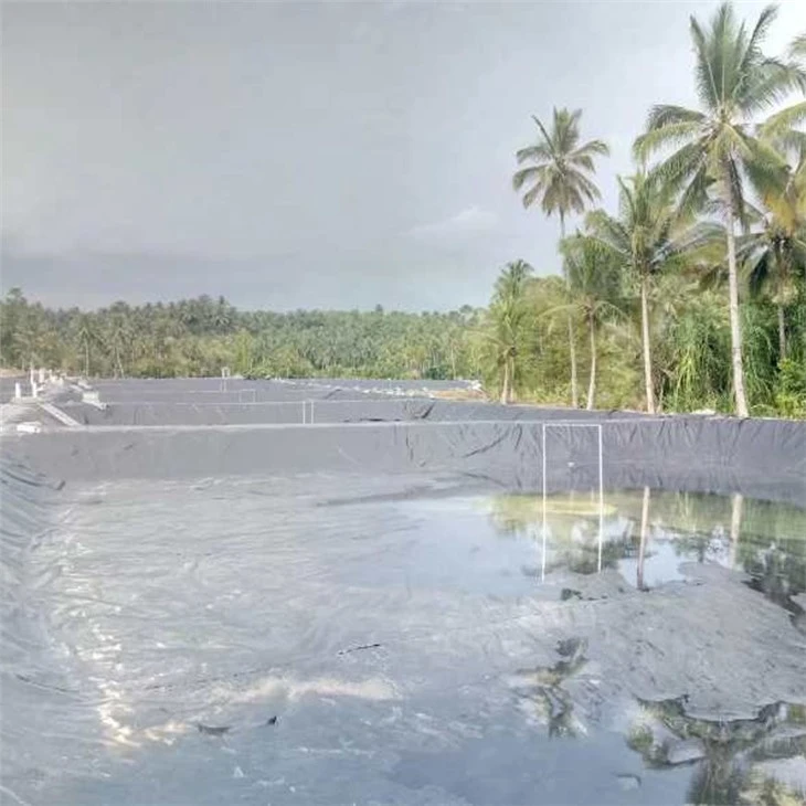 500 microns hdpe geomembrane,jpg